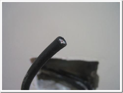 CRW_3495(Canon PowerShot G2)