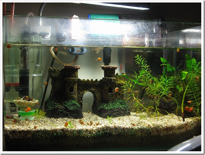 IMG_3467 (Canon PowerShot G9)